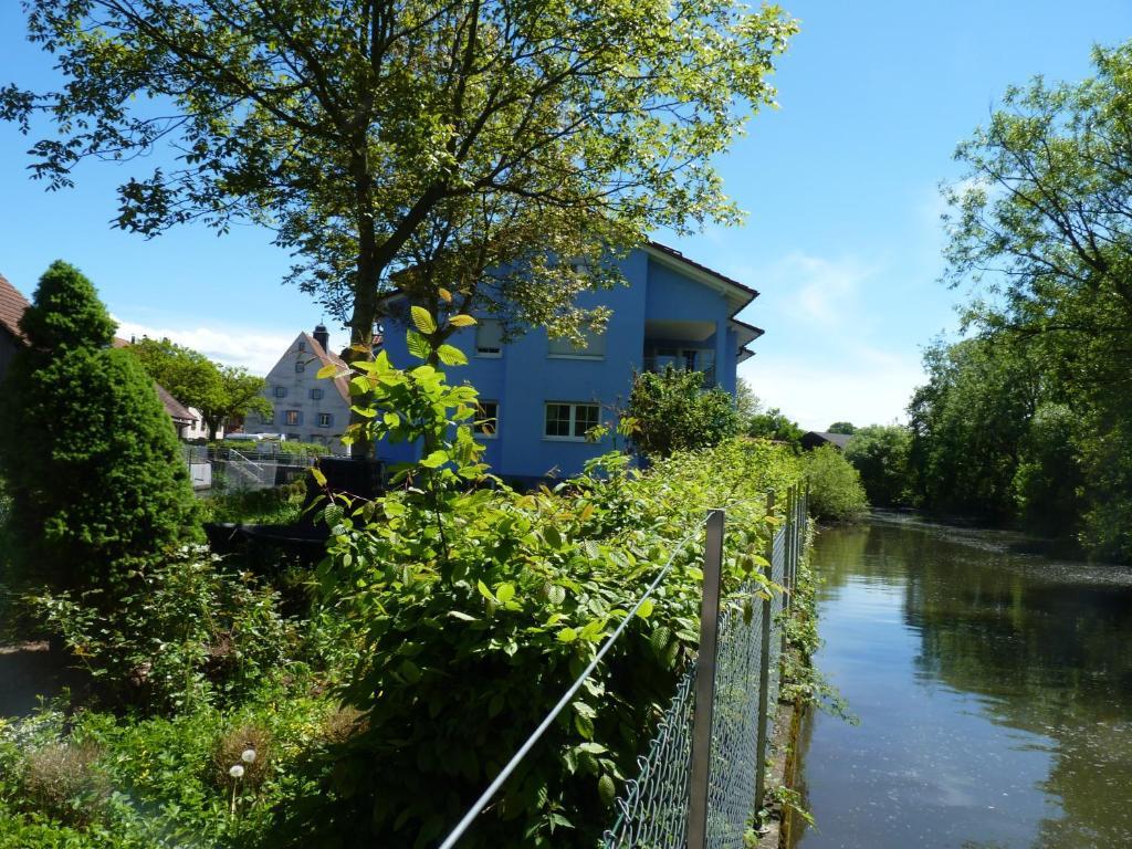 Hotel Muhleinsel Kenzingen Camera foto